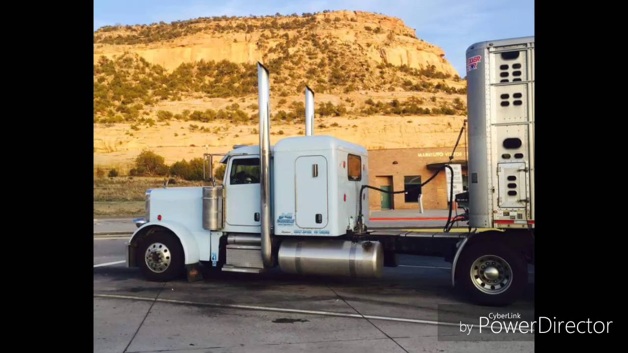 Bull Haulers living the dream.