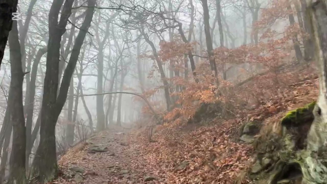 Silná námraza a sníh (23.12.2025) Vrchol Milešovka [837 m.n.m.] České středohoří.
