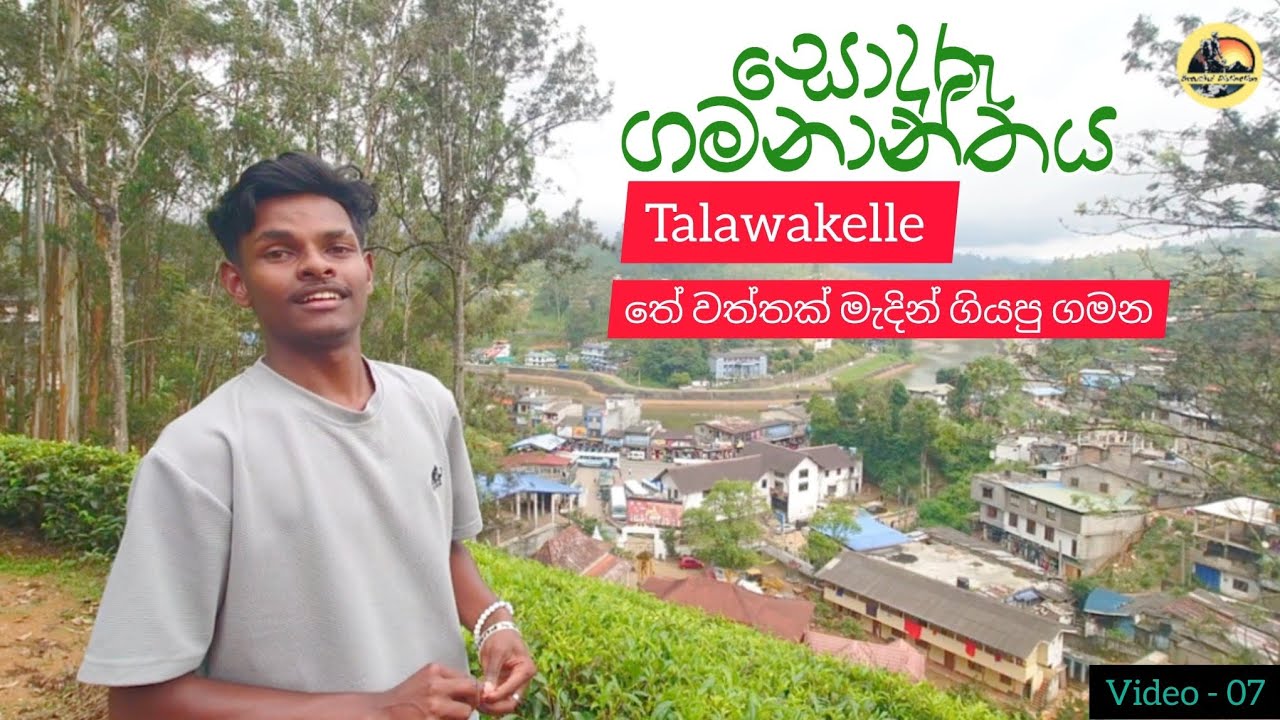 සොදුරු ගමනාන්තය / තලවකැලේ තේ වත්තක් මැදින් ගියපු ගමන @Beautifuldestination-p5x#srilanka #nuwaraeliya