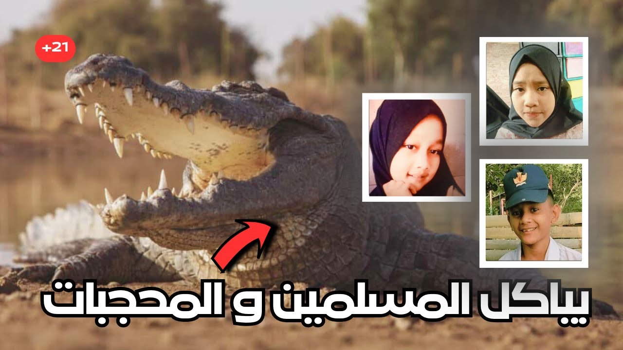 تمساح تخصص أكل المسلمين والمحجبات في اندونيسيا | الشيطان اللي أكل 450 شخص وهما صاحيين