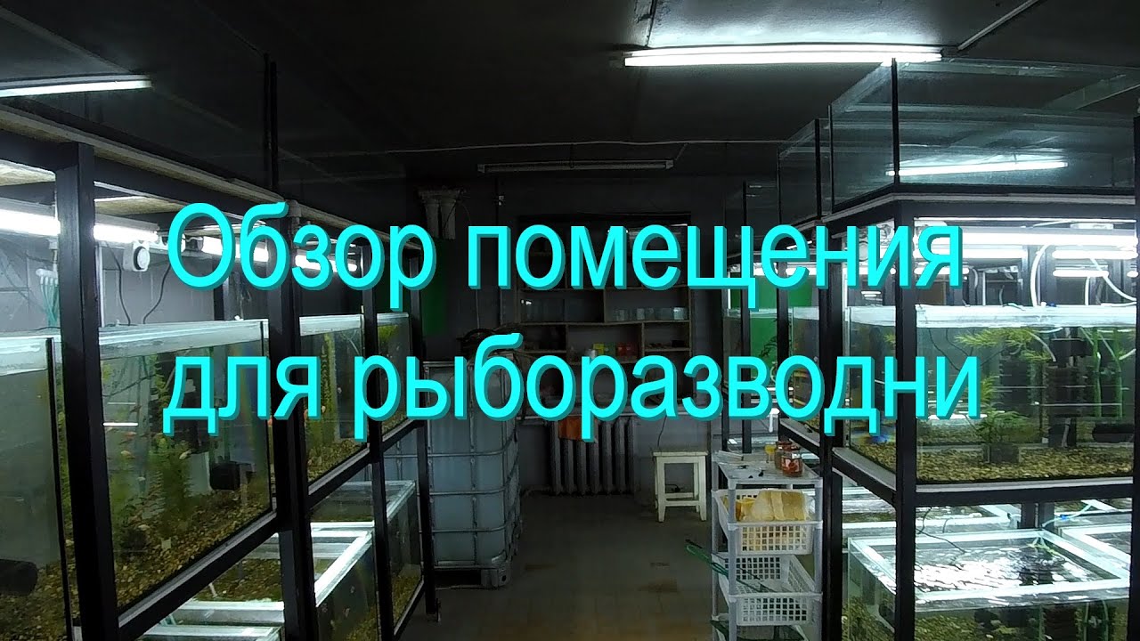 Обзор помещения | Строительство рыборазводни часть 1