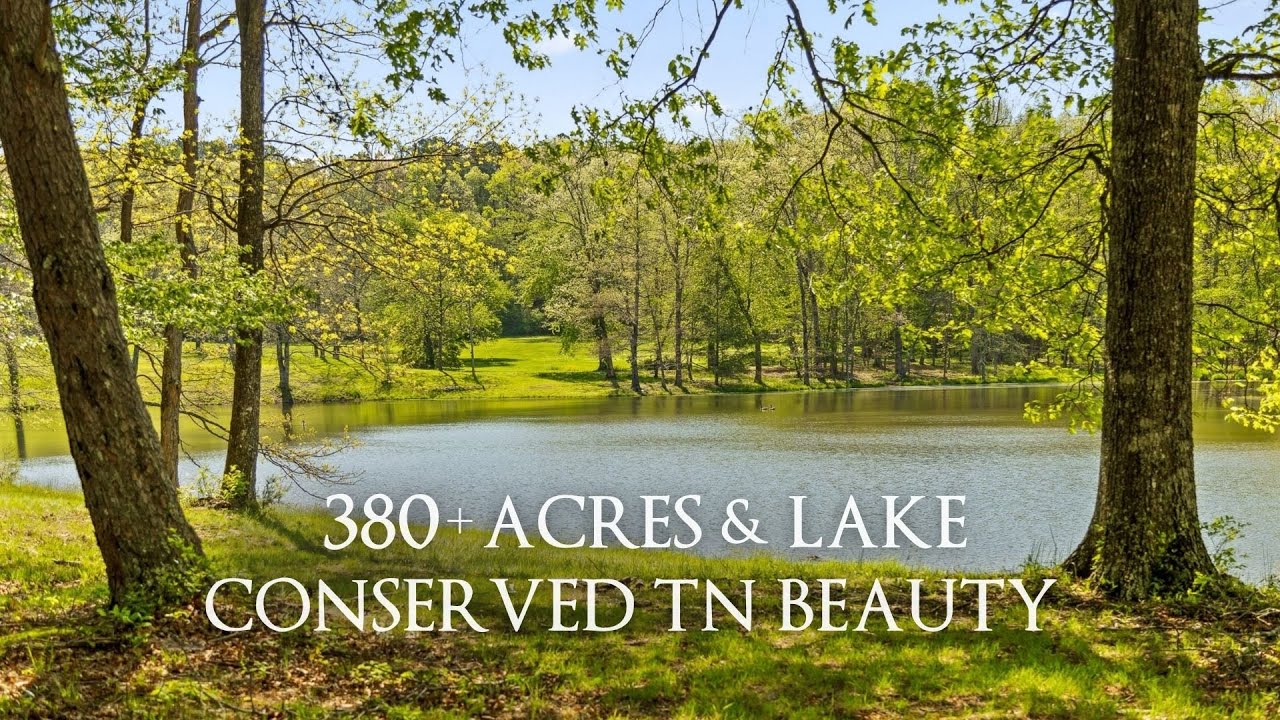 For Sale: 380+ Acres of Conserved TN Land • TODD HENON PROPERTIES
