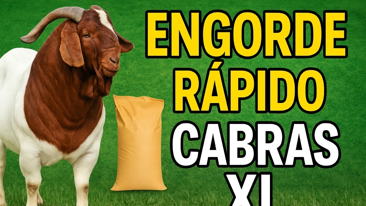 C&oacute;mo Engorda Tus Cabras R&aacute;pido y F&aacute;cil Gu&iacute;a Paso a Paso