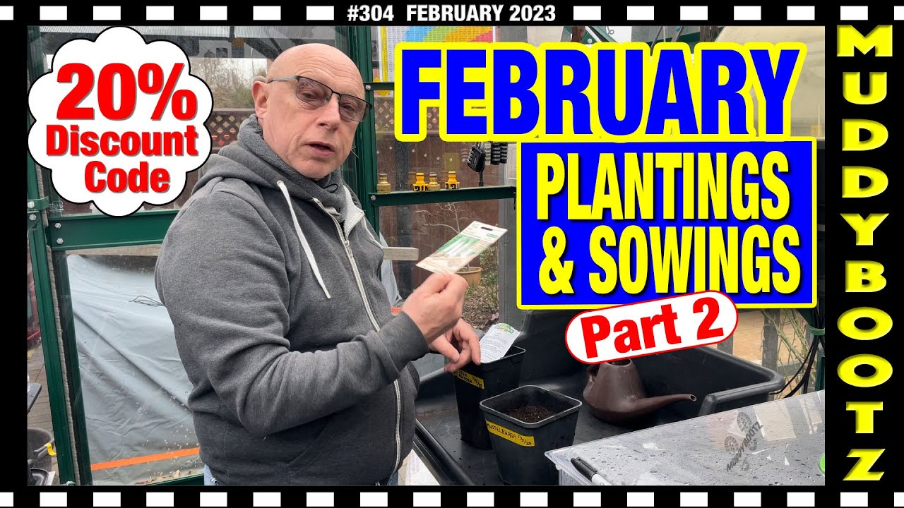 🌻304 🌻 SOWING SEEDS IN FEBRUARY 🌻 SEED POTATOES 🌻 20% DISCOUNT CODE 🌻