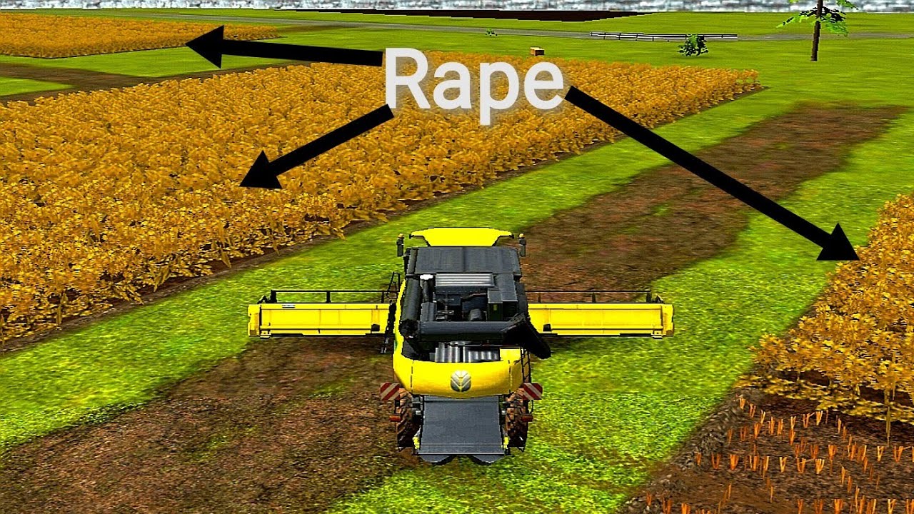 Big rape harvest / Ogromne żniwa rzepaku! Timelapse #68. Farming Simulator 16, fs 16.
