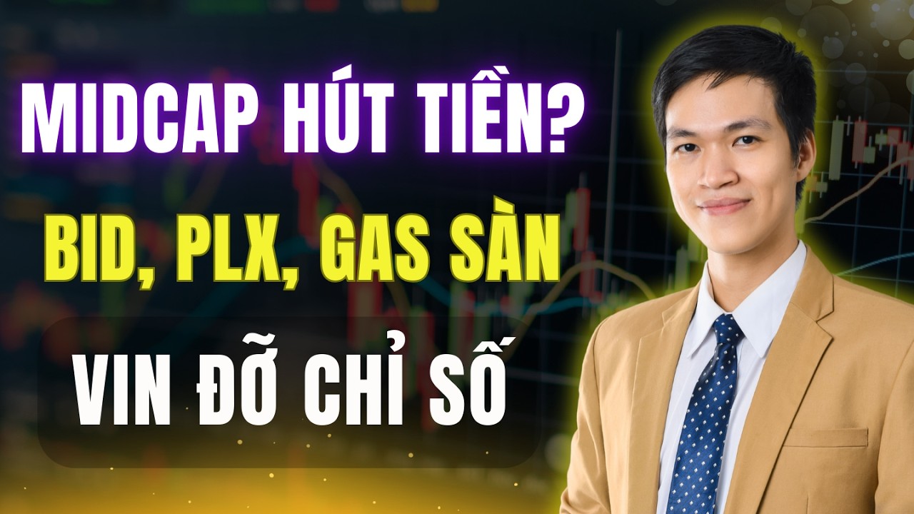 Midcap Hút Tiền Mạnh: Nhóm Cổ Phiếu Nhà Nước Gãy Sóng Hay Chỉ Rung Lắc?