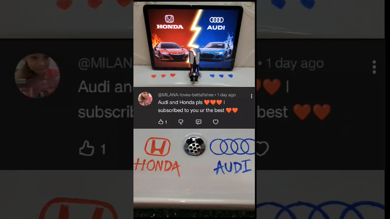 Audi vs Honda 😱❤️