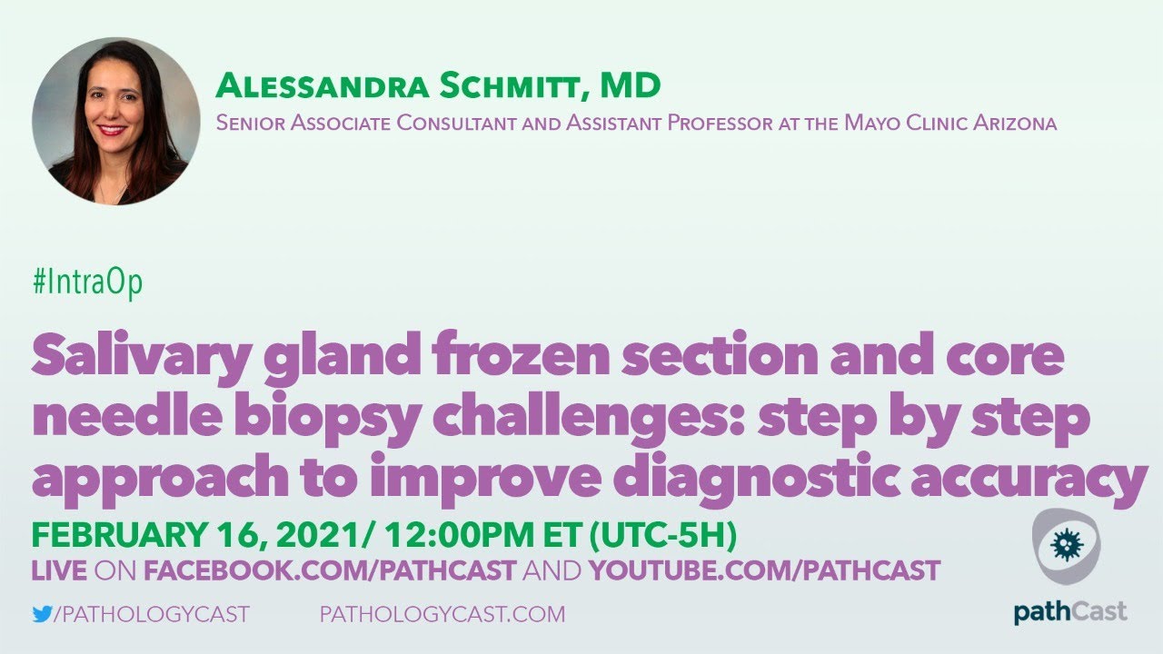 Salivary gland frozen section and core needle biopsy challenges - Dr. Schmitt (Mayo Clinic) 