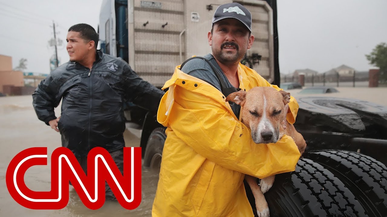 What Hurricane Harvey left behind
