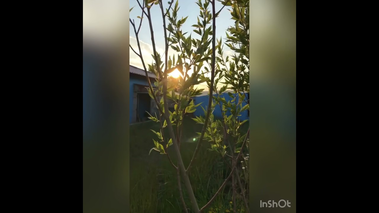 Erzurum horasan aşağı eğertaş mahallesi