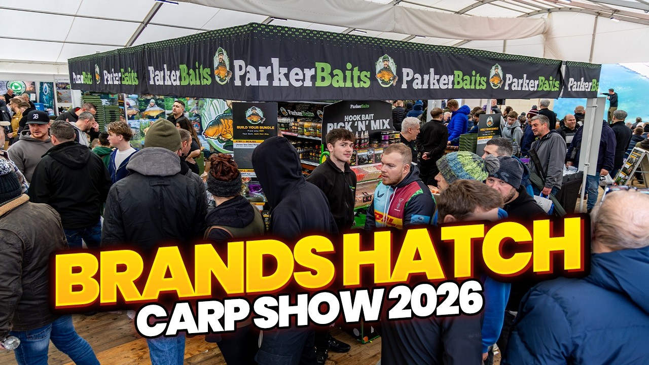 За кулисами выставки карповых рыб Brands Hatch 2026