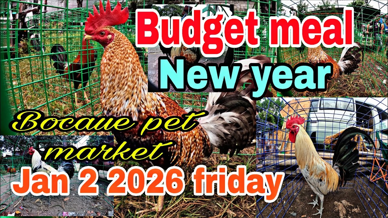 Budget meal new year , Bocaue pet market , Jan 2 2026 friday .
