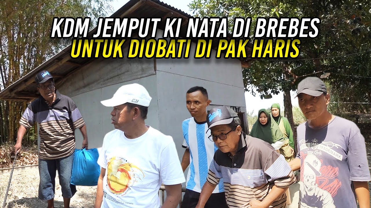 PULANG DARI PURWOKERTO KDM JEMPUT KI NATA DI BREBES | UNTUK D10BATI DI PAK HARIS