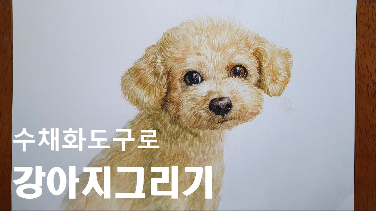 Watercolor painting - Cute Dog 수채화로 강아지 그리는방법