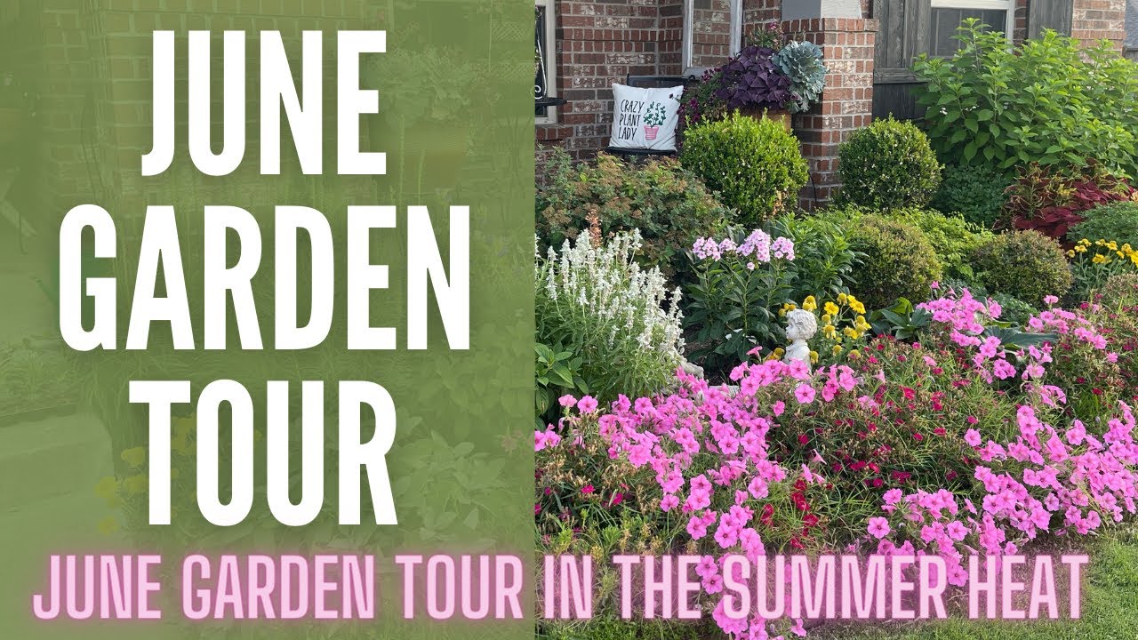 June GARDEN TOUR 2022 🌻🌻🌻 || Garden Tour || Garden With Me || Texas Garden Tour