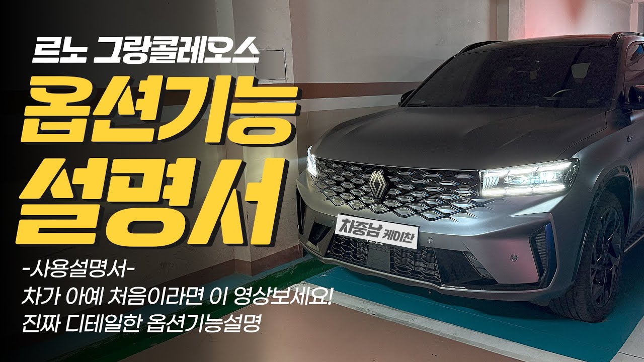 르노 그랑콜레오스 옵션기능 사용법! 초보자를 위한 진짜 디테일한 옵션 기능설명!