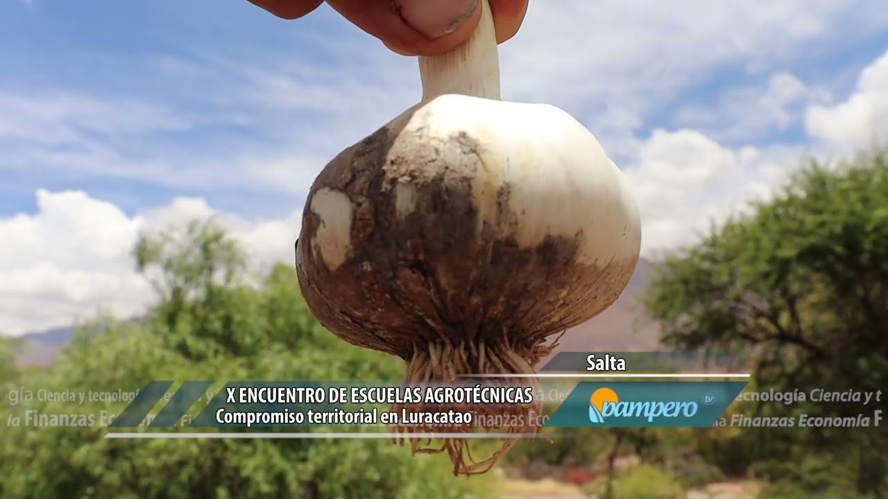 X Encuentro de escuelas agrotécnicas Luracatao