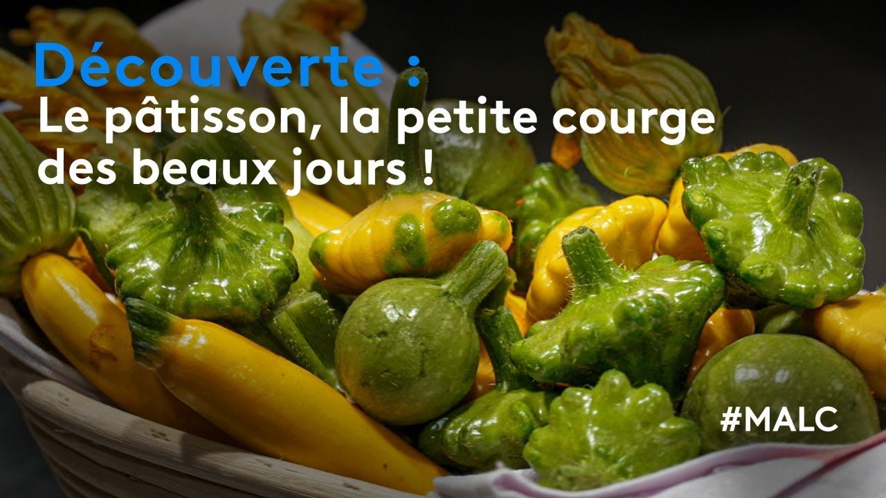Découverte : Le pâtisson, la petite courge des beaux jours !