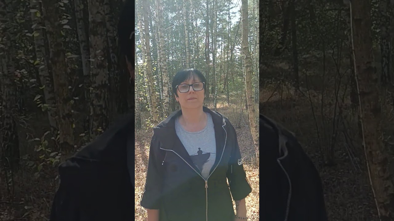 Pojawiły się kanie 🌲🍄🌲