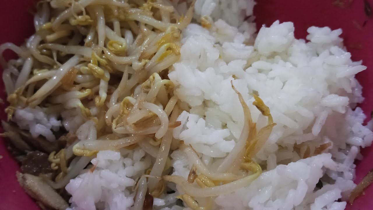 Alhamdulillah nikmatnya makan dengan Laok sisa // Tumis Tongkol Suwir dan Tumis Toge #video 