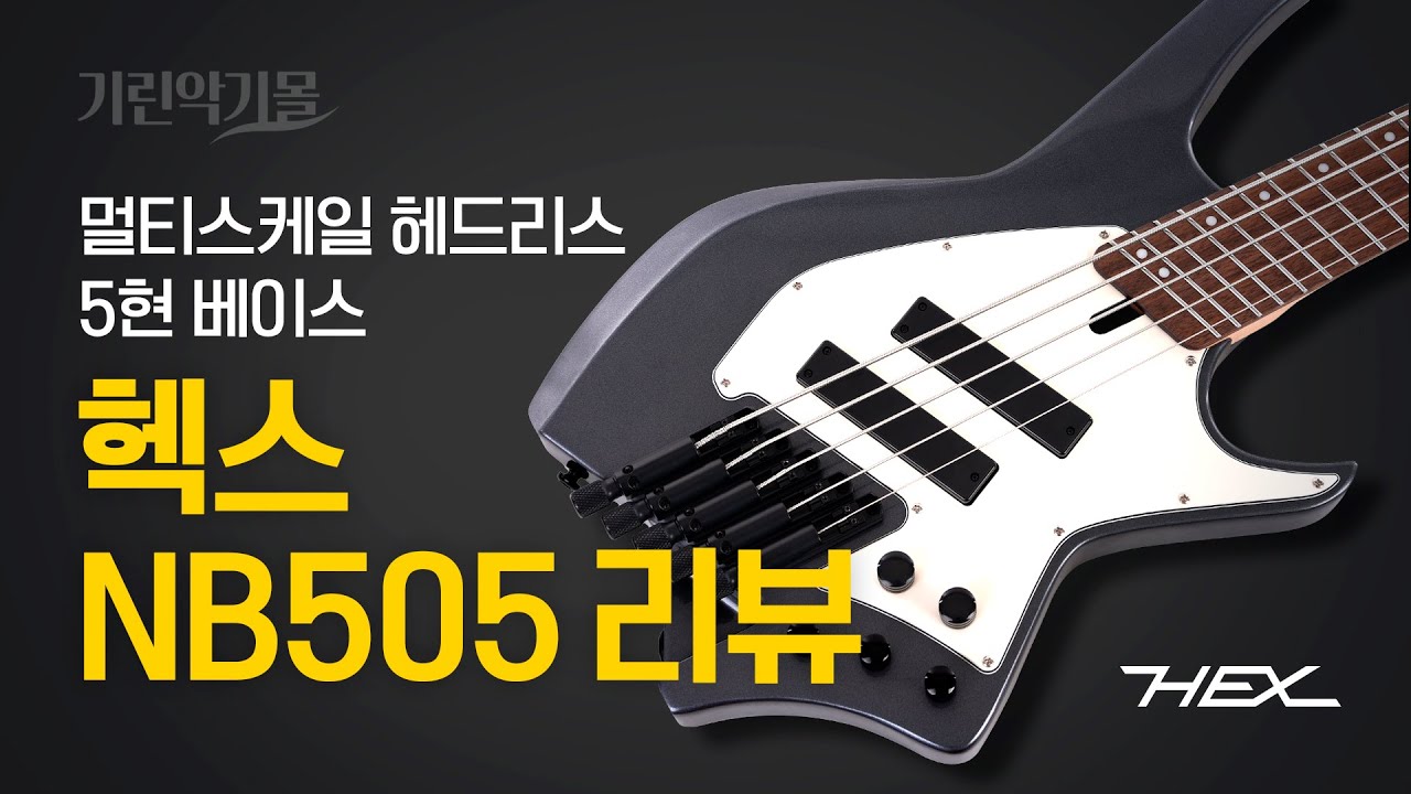 멀티스케일 헤드리스 5현 베이스 헥스 NB505리뷰