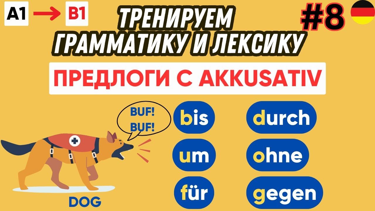 Тренажер 8 | Предлоги с Akkusativ | Предлоги в немецком языке 🇩🇪