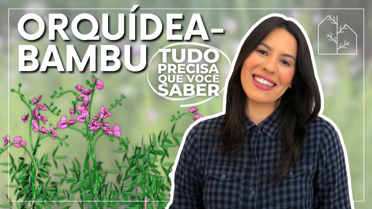 ORQUÍDEA BAMBU: APRENDA COMO CULTIVAR | Tudo o que você precisa saber sobre a ARUNDINA!