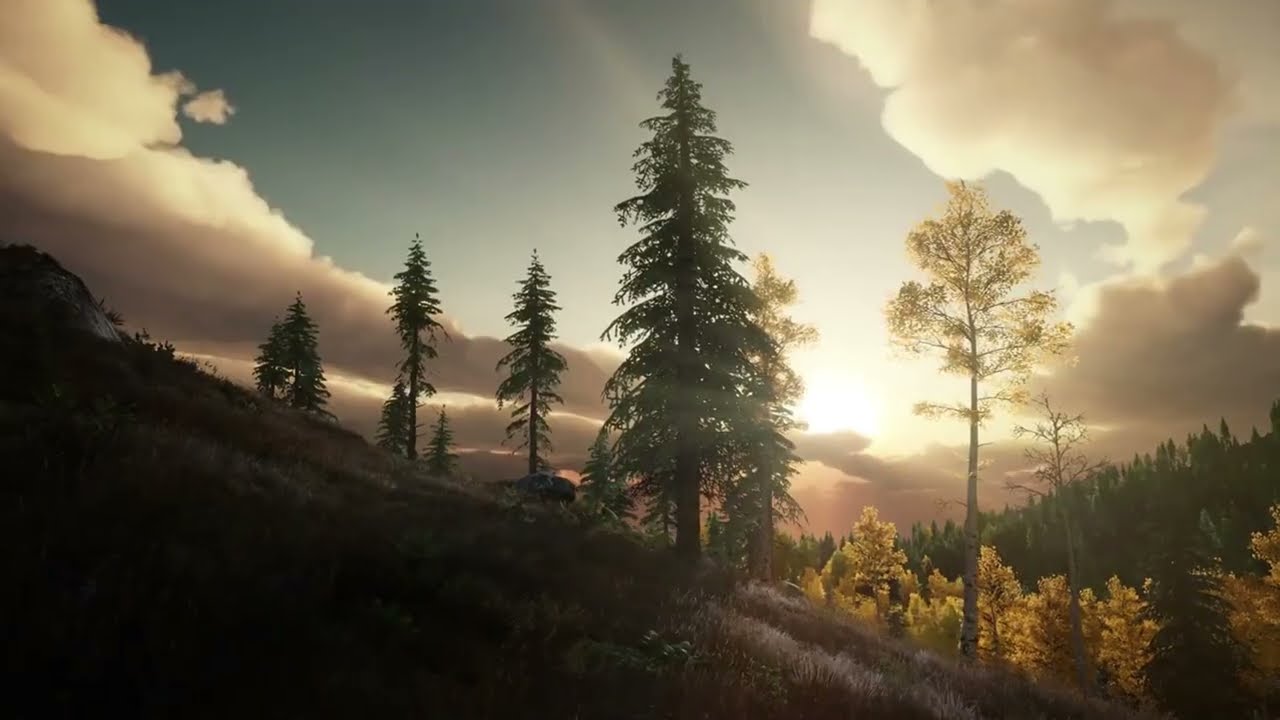 Silent Reflection &ndash; Deep Relaxation Music