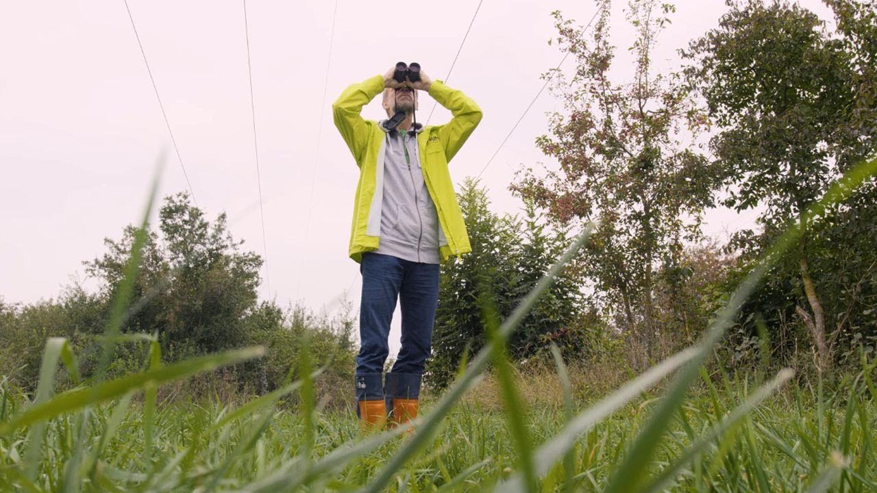 Ökologischen Trassenmanagement (ÖTM) im Naturschutzgebiet