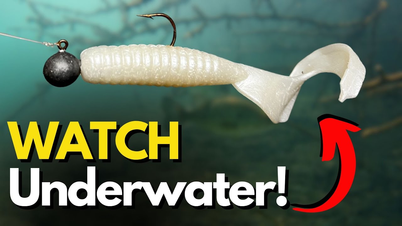 Most Effective Retrieve For a Single Tail Grub (2 Key Steps)