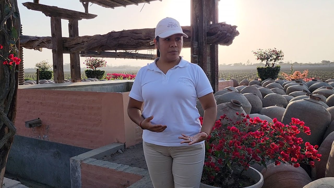 Recorrido por la Bodega, Museo de autos clásicos y Monturas para caballos del Hotel Viñas Queirolo