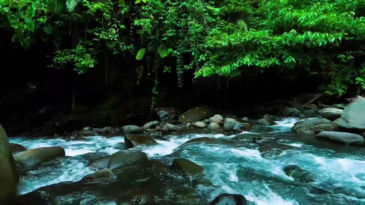 Dark Jungle River Flow – Deep Sleep Nature Sound with Rushing Water Sound