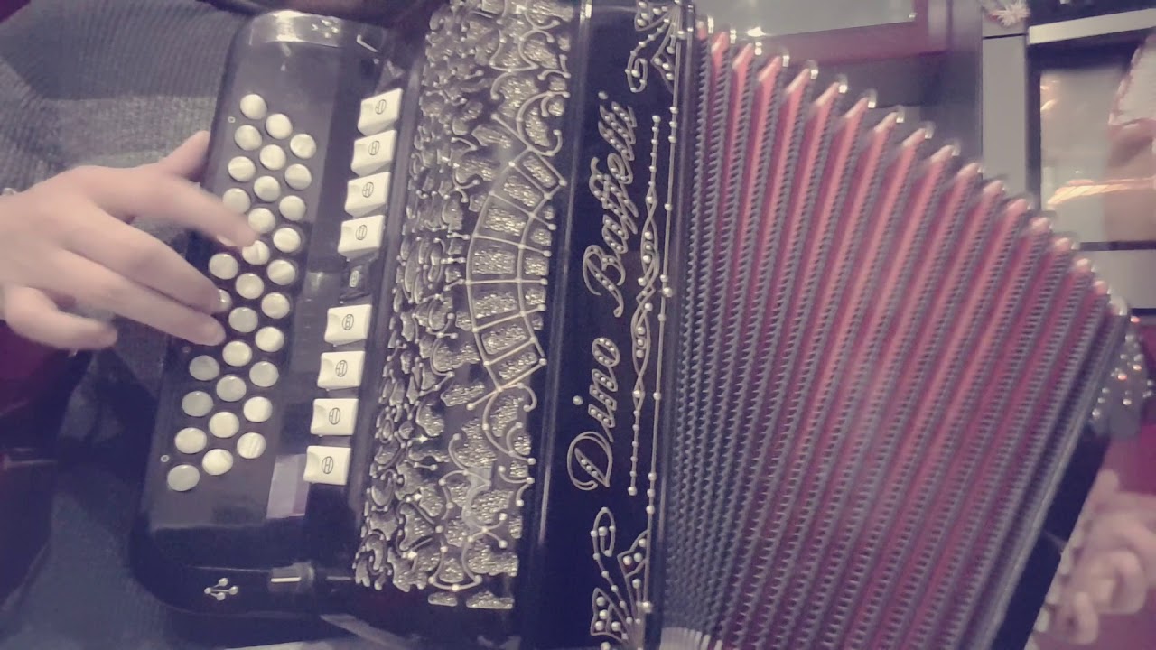 Meninas vamos ao vira na concertina - Montagaitas