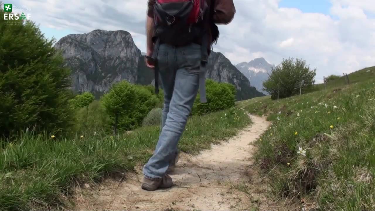 SIC Sasso Malascarpa