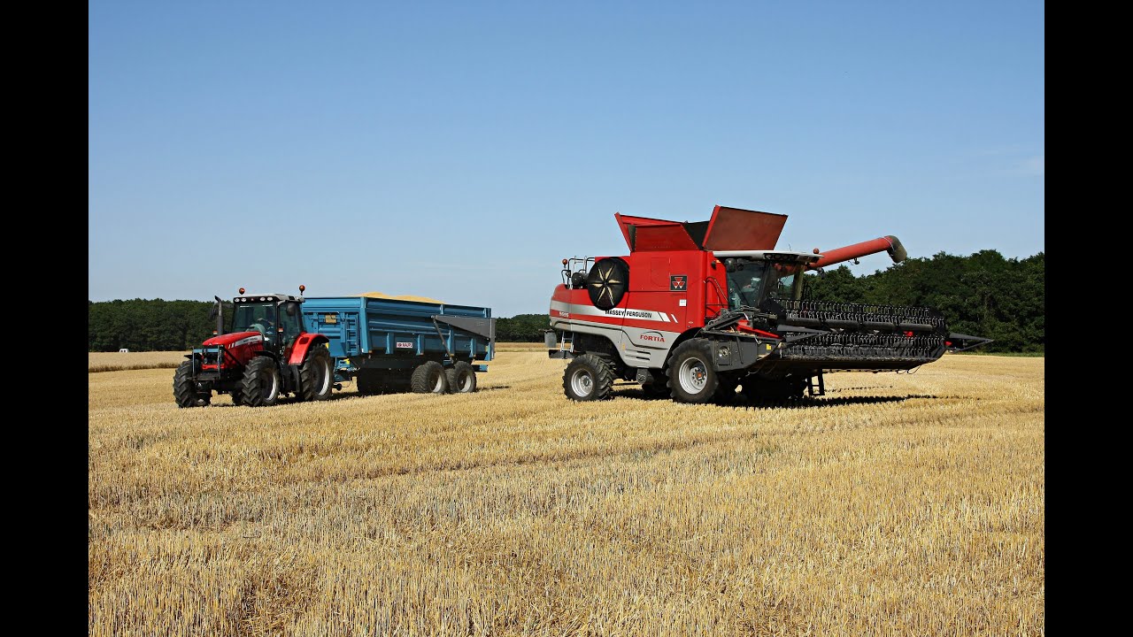 Moisson orge Massey Ferguson Fortia 9695 - barley harvest