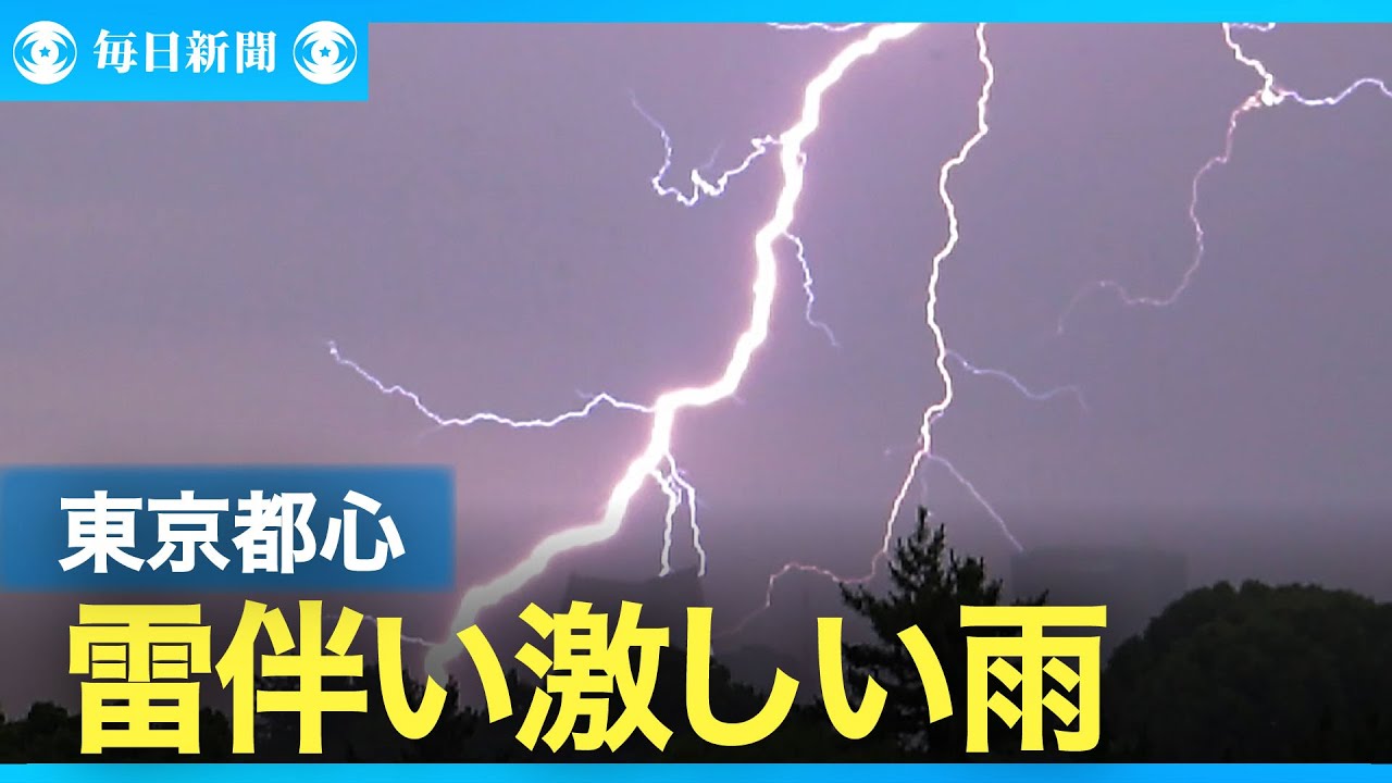 都心でも落雷多発　関東地方　局地的に雷伴い激しい雨