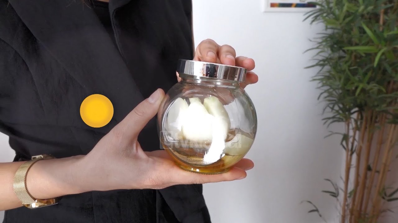 Shije Shtëpie - Si të përgatisim antibiotik natyral për kollën dhe sekrecionet - Tv Klan