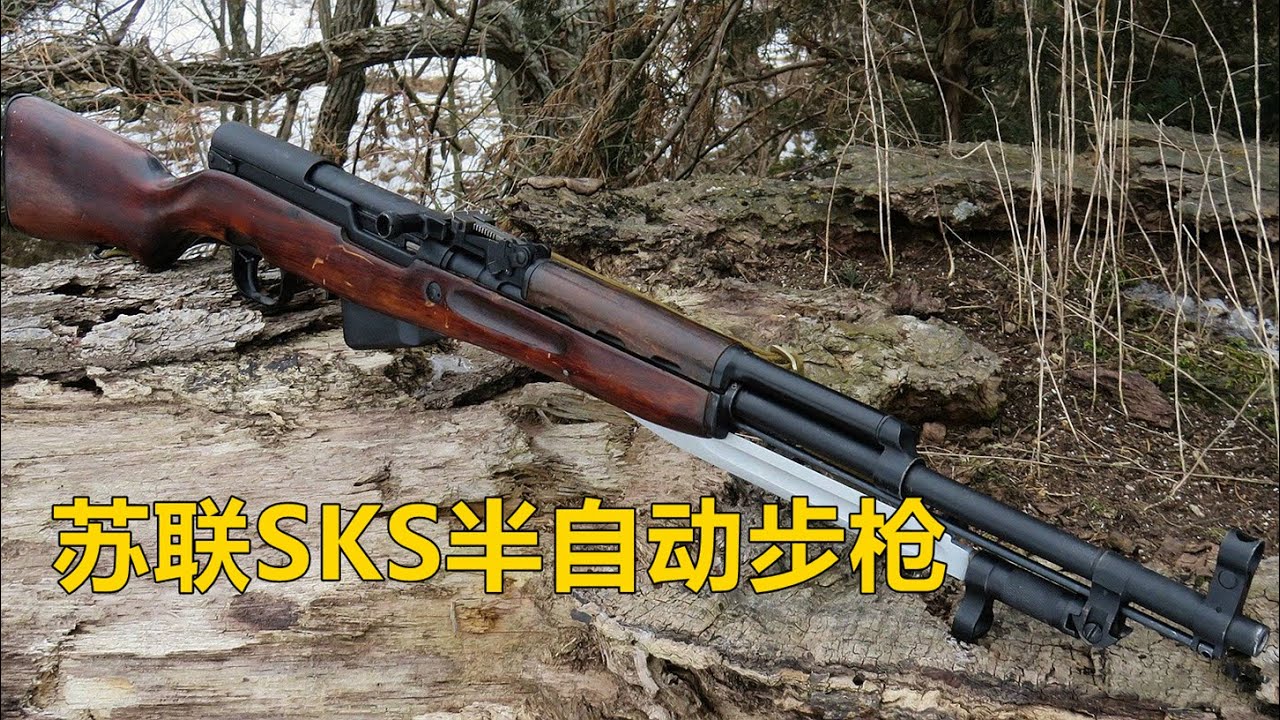 一代经典 前苏联SKS 7.62mm半自动步枪