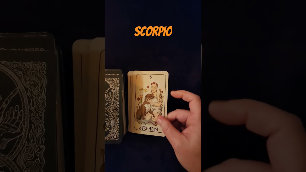 Scorpio: 1 Minute Pull #scorpiotarot #scorpio #tarot #zodiac