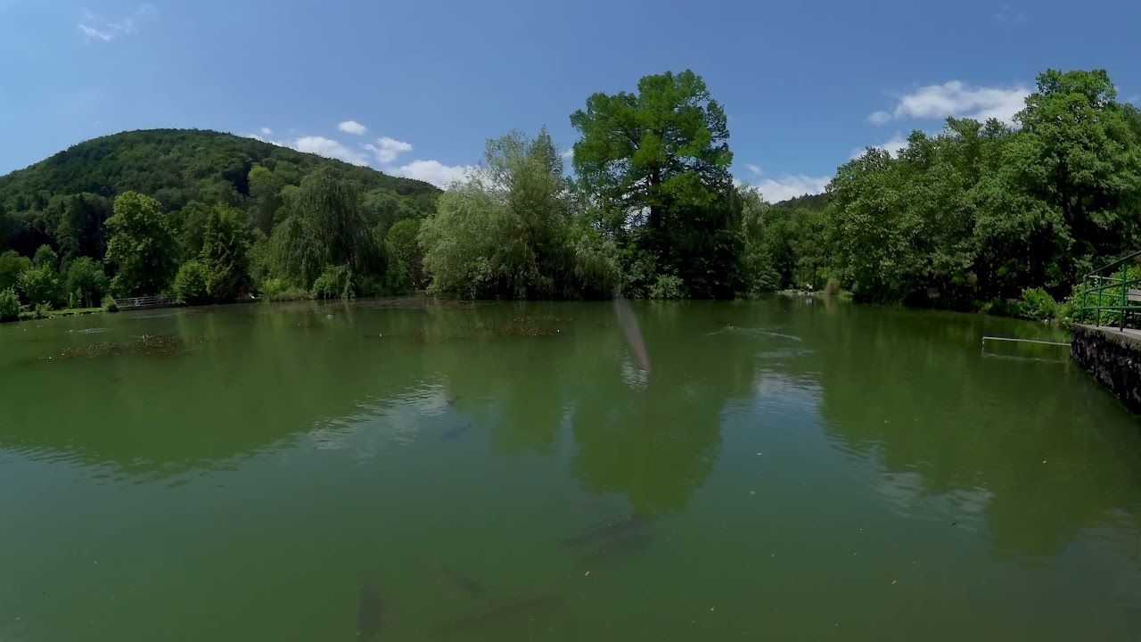 707   Spa Trenčianske Teplice