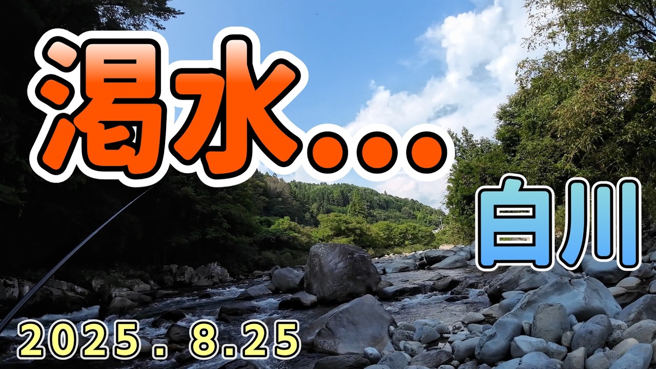 魚は何処に居る？　8/25    渇水、垢腐れの白川