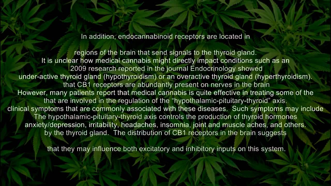 Cannabis Research   Thyroid Cancer, Hypothyroidism and Hyperthyroidism