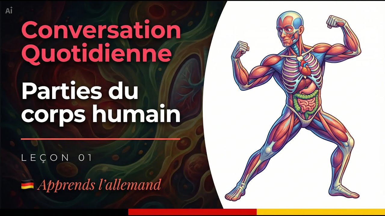 Leçon 1 : Les parties du corps humain - Apprendre l'allemand
