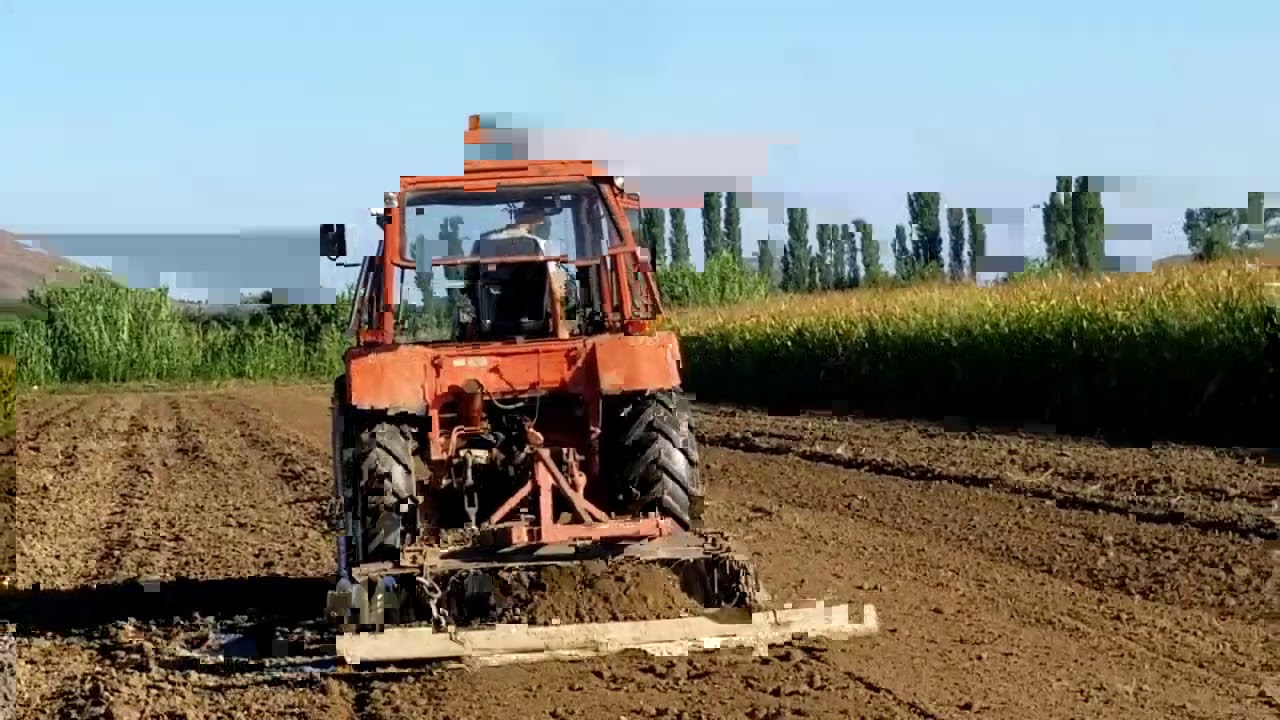 BELARUS 600 [PLUG+DISK+RRUL]《2020》