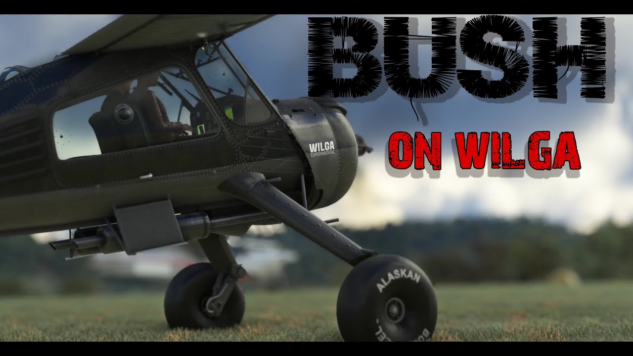 Bush flight on Wilga