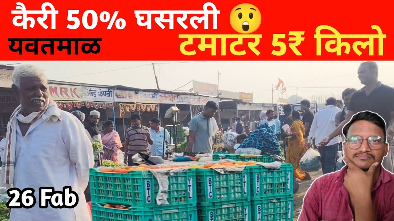 भाजी बाजारात मोठी घसरण! टमाटर 5₹, कैरी अर्ध्या भावात | आजचे रेट! यवतमाळ मंडी लाईव्ह अपडेट 😱