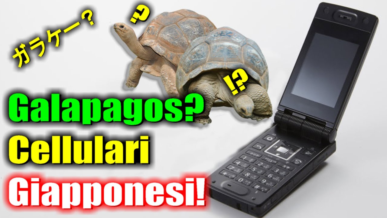 Cellulari Giapponesi GALAPAGOS?! anni 2000! - Tecnologia dimenticata - Vivi Giappone