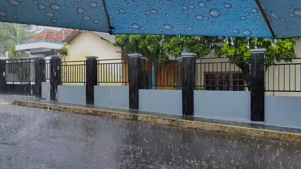 Surrounded by Heavy Rain 🌧️ White Noise for Deep Sleep & Calm | No Ads