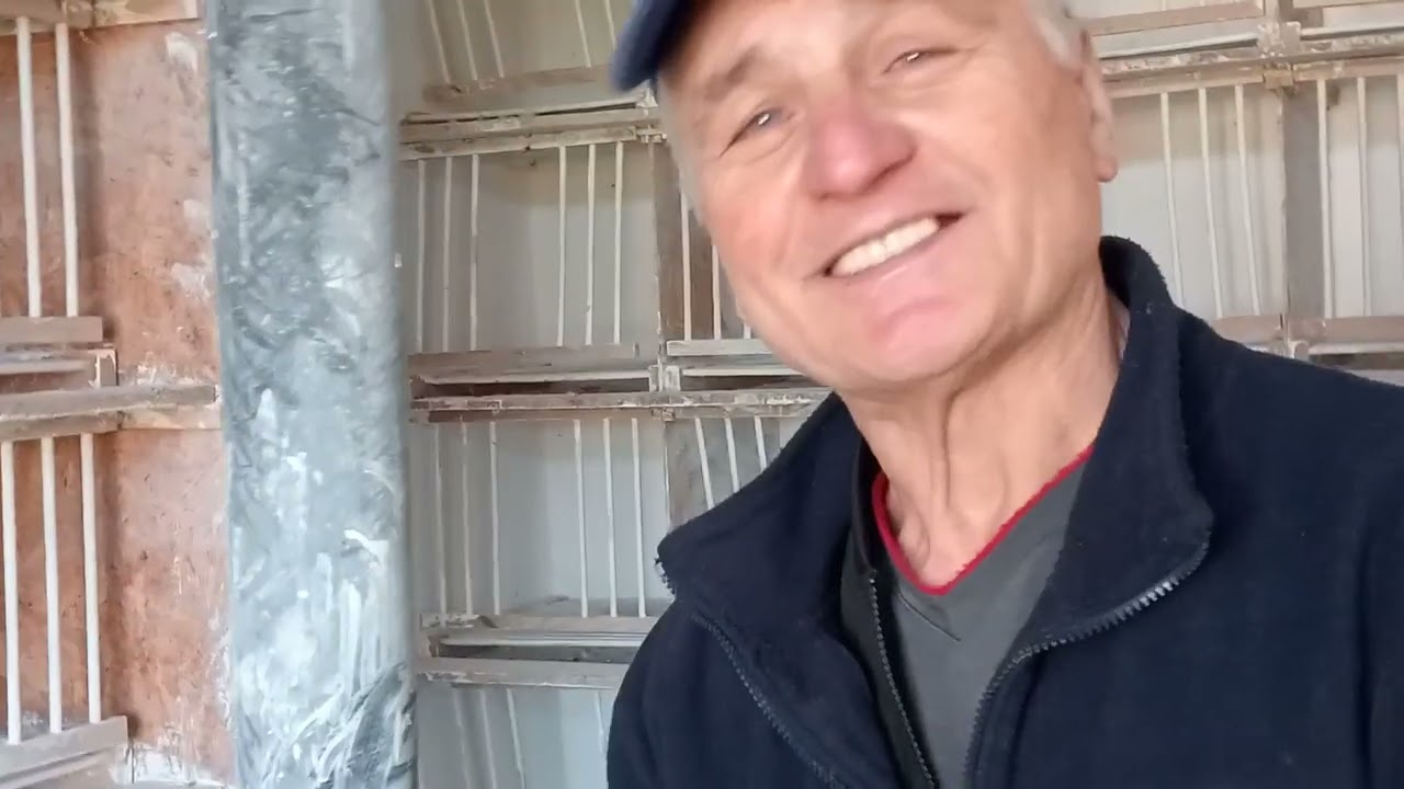 În vizită la columbofilul Morar Mihai(Luțu)-Reghin(Mureș)