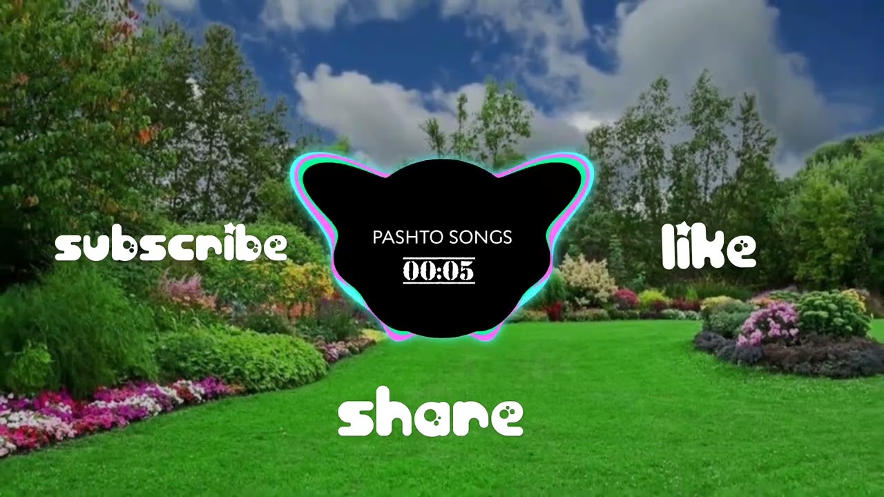 Pashto Melody Zone|Pashto Vibes 🎶|Pashto Soul Beats|Pashto New Song 2026